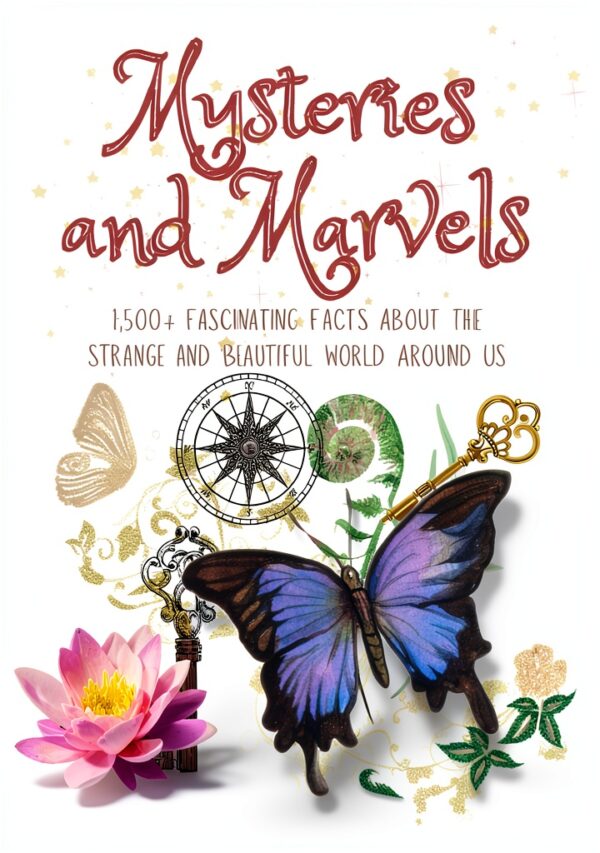 Books of Knowledge eBook Teen Young Adult Curiosities-0